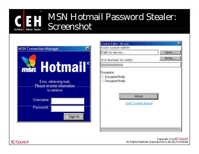 hotmail password stealer